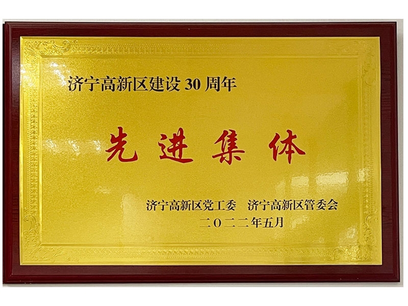 建設30周年先進(jìn)集體