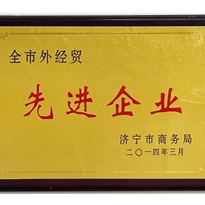 全市外經(jīng)貿先進(jìn)企業(yè)